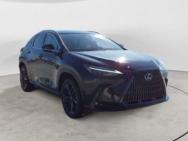2026 Lexus NX 450h+ Luxury - Photo 14