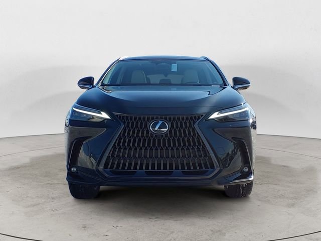 2026 Lexus NX 450h+ Luxury - Photo 15