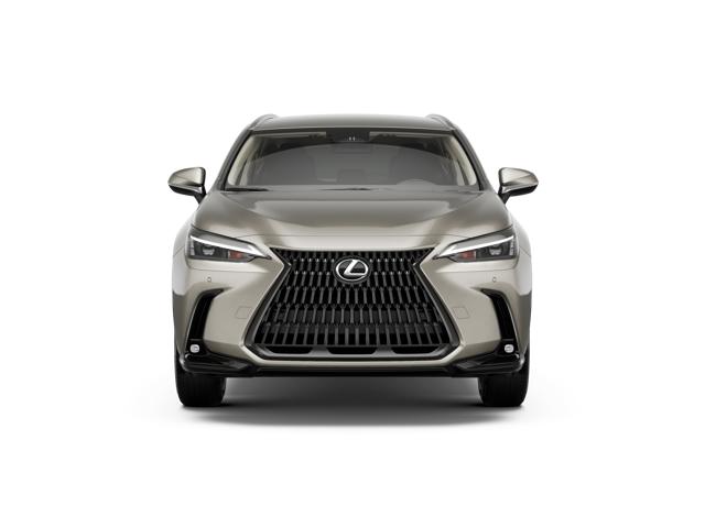 2026 Lexus NX photo 3