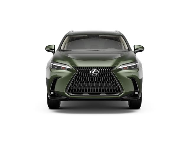 2026 Lexus NX 350 photo 3