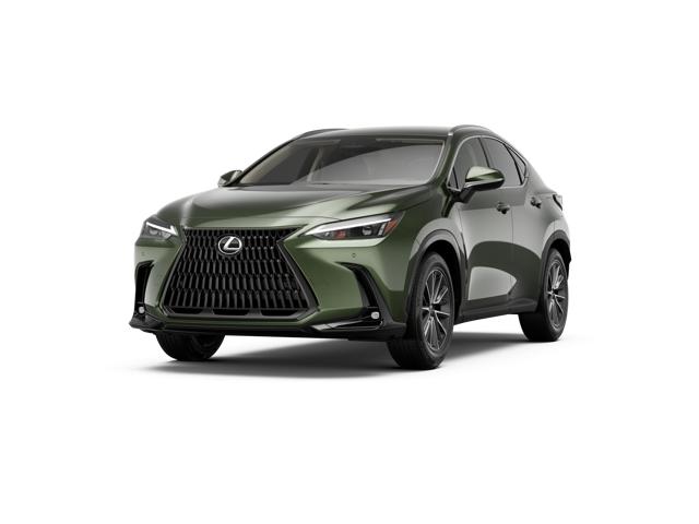 2026 Lexus NX 350 photo 4