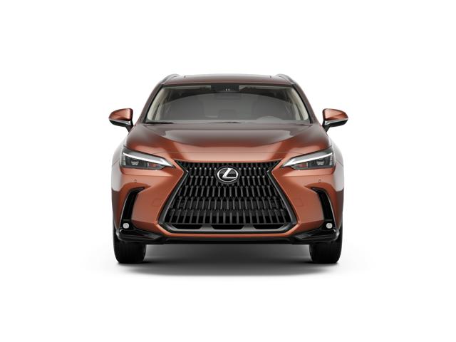 2026 Lexus NX Premium photo 4