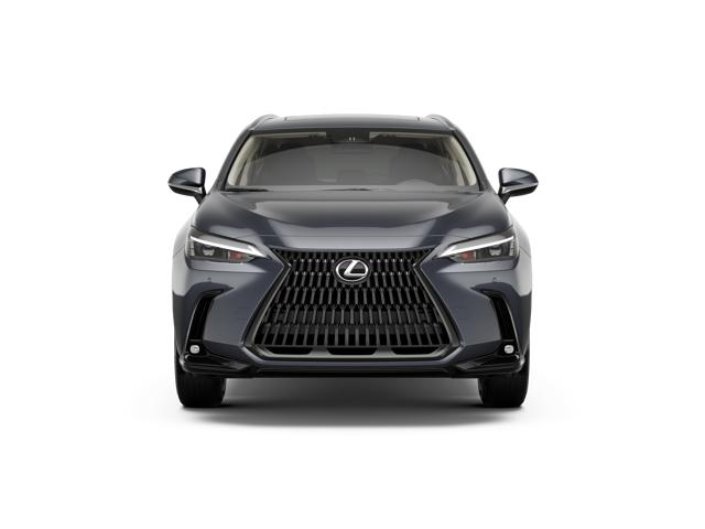 New 2026 Cloudburst Gray Lexus PREMIUM image 5