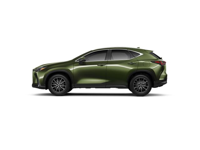 2025 Lexus NX 350 Premium AWD photo 2