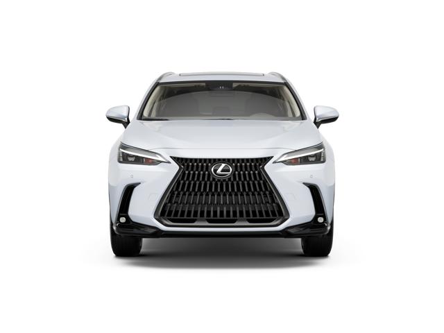 2026 Lexus NX 350 photo 3