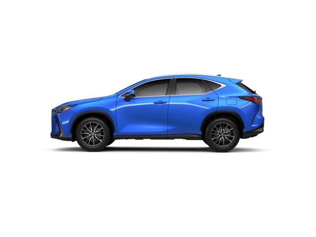 2025 Lexus NX 350 Luxury AWD photo 2
