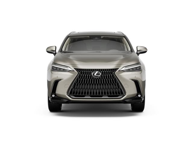 2026 Lexus NX Luxury photo 3