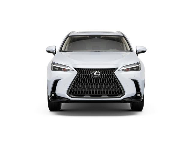 2026 Lexus NX Luxury photo 3